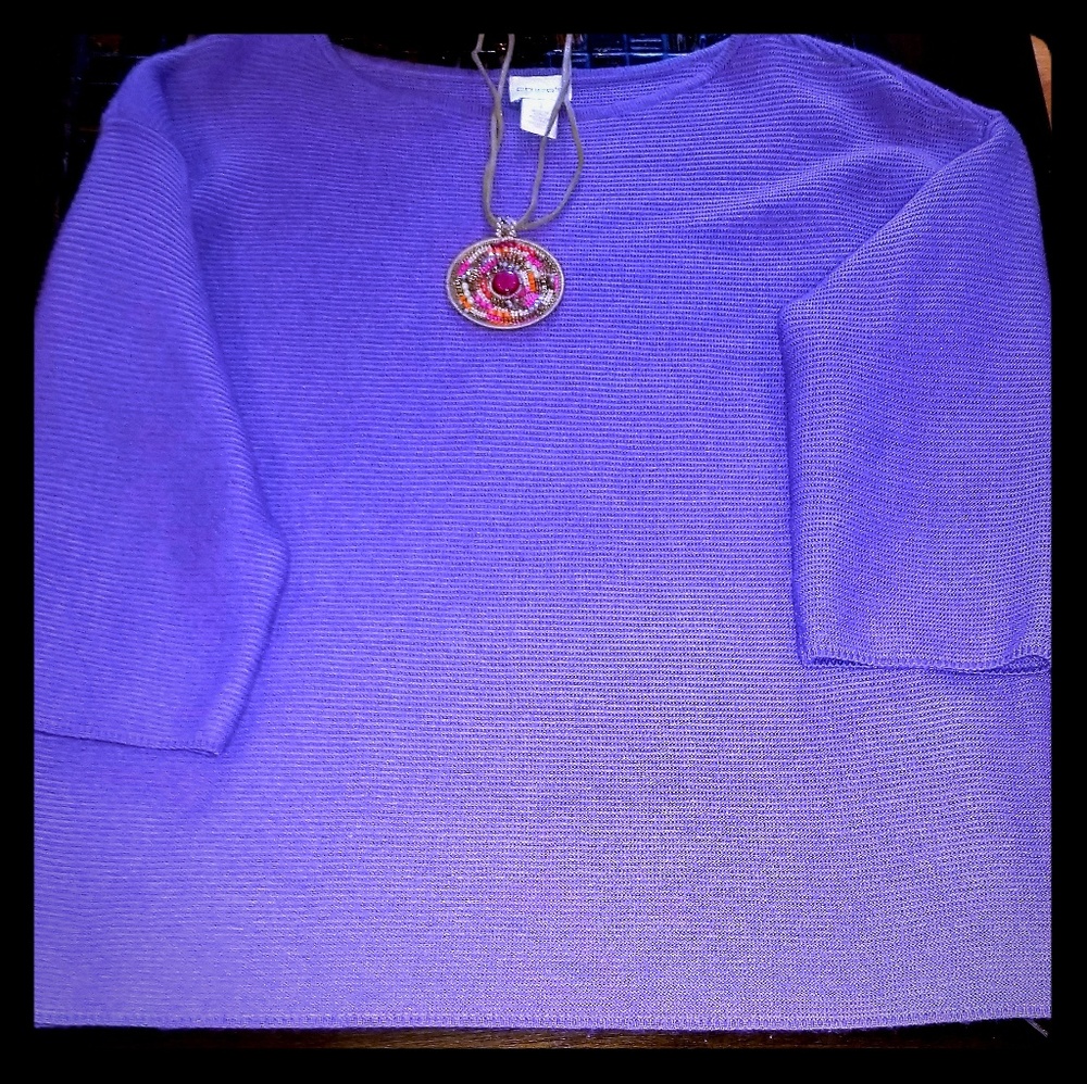 Chicos Sweater - image 1